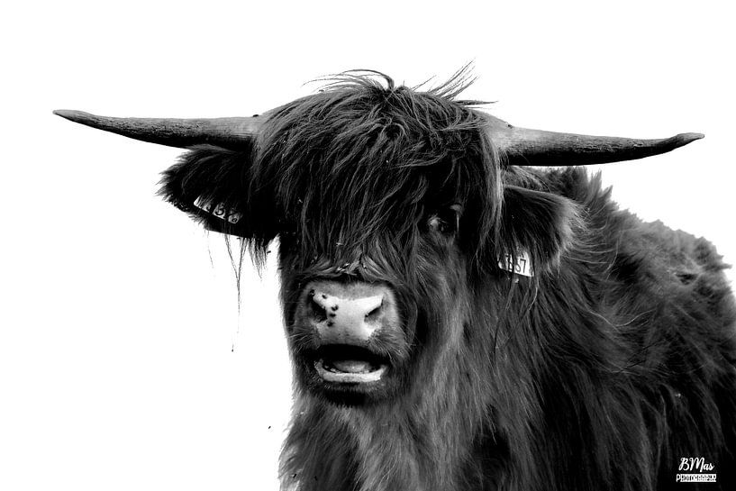 The Scotsman by Bart van Mastrigt