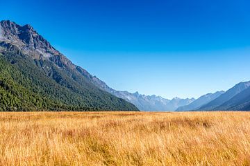 Un champ herbeux parmi les fjords de Nouvelle-Zélande sur Troy Wegman