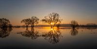 Lever de soleil sur la terre noyée