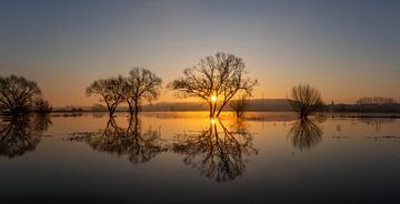 Zonsopgang aan het verdronken land van Bart Ceuppens