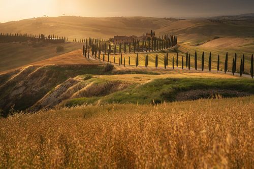 Crete Senesi gloed