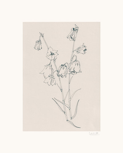 Tekening van delicate klokjesbloemen