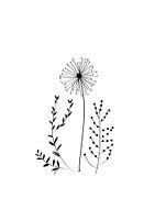 Poster bloem - zwart en wit - nature
