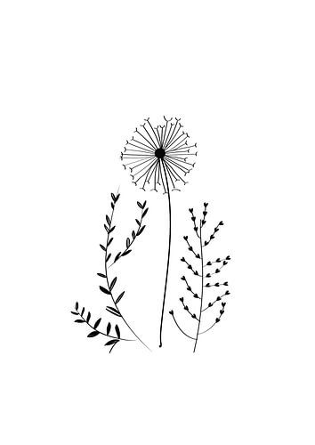 Poster flower - black and white - natural