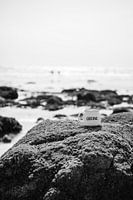 For a while offline | Summer in Brittany | Black-and-white photo print | France travel photography