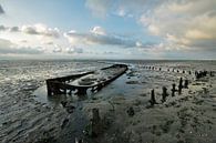 Stranded / Stranded by Henk de Boer thumbnail