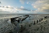 Stranded / Stranded