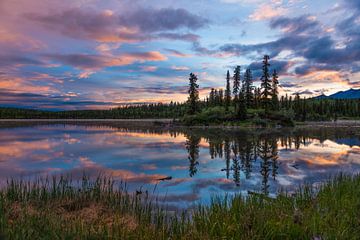 Middernachtzon in Alaska van Denis Feiner