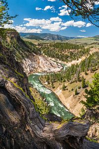 Yellowstone Rivier van Denis Feiner