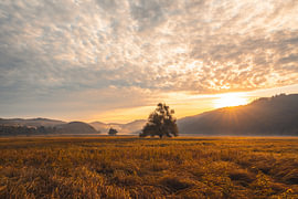 Sonnenaufgang am Edersee von Catrin Grabowski