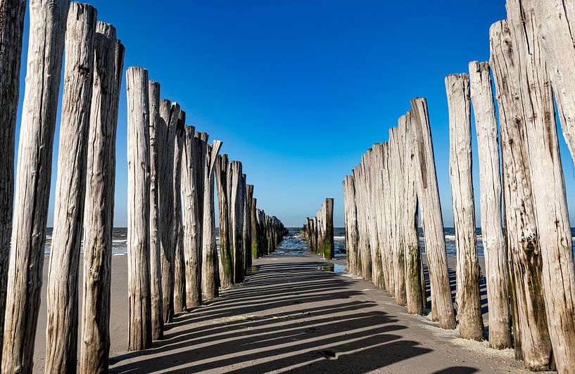 Beach posts Westenschouwen 4 by Percy's fotografie