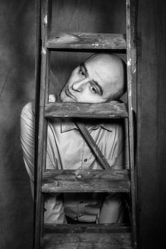 The social ladder by Tom Van den Bossche