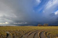 Friese klei