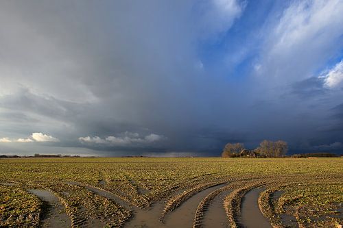 Frisian clay