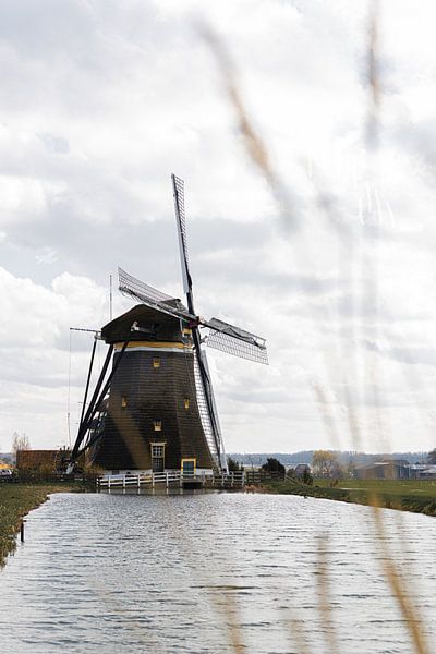 Vieux moulin hollandais par HappyTravelSpots