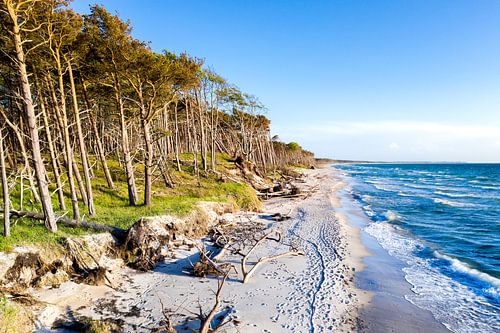 Weststrand aan de Darß