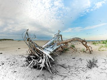 Flood mark on the Boschplaat by Jan Huneman