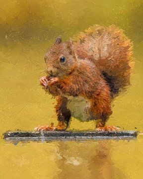 Squirrel by the water with reflection by Gianni Argese