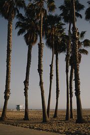 Immer noch aufrecht. von Rebecca Gruppen