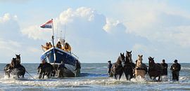 Paardenreddingsboot van Rinnie Wijnstra (FotoAmeland )