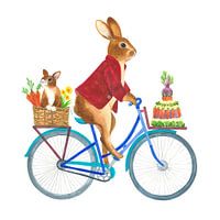 Lapins d'anniversaire