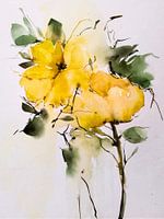 Lovely yellow roses