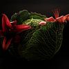 Taste and flavour by Olha Rohulya