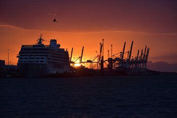 Un lever de soleil sur le port sur Claude Laprise