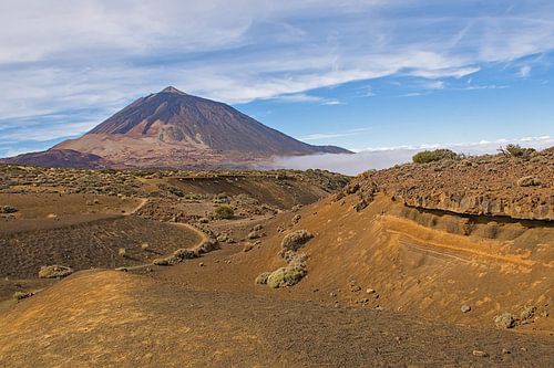 Vulkaisch landschap in Teide nationaal Park, Tenerife