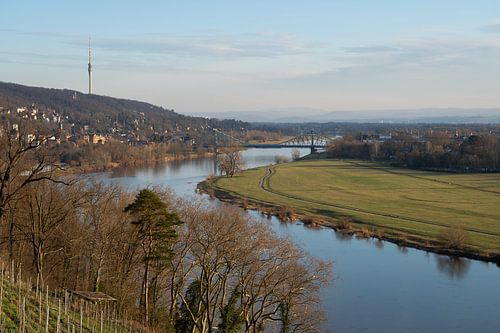 Elbeweiden en het Blaue Wunder in Dresden
