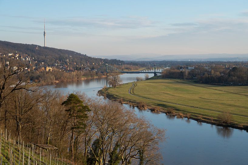 Elbe meadows and the Blaue Wunder in Dresden by Adriana Müller