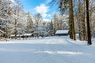 Korte winterwandeling rond de besneeuwde Inselsberg bij Brotterode - Thüringen - Duitsland van Oliver Hlavaty thumbnail