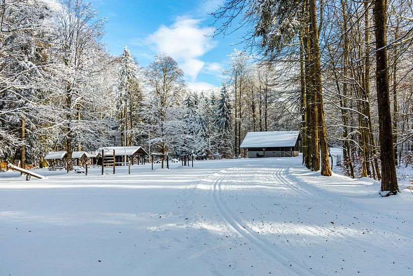 Korte winterwandeling rond de besneeuwde Inselsberg bij Brotterode - Thüringen - Duitsland van Oliver Hlavaty