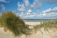 Zeezicht Texel