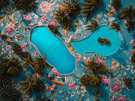 Paradise from Above – A Tropical Oasis in Miami by Frederik Opdeweegh