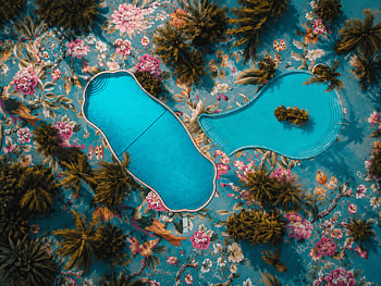 Paradies von oben – Eine tropische Oase in Miami