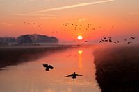 Zonsopkomst Wezenspyk Texel
