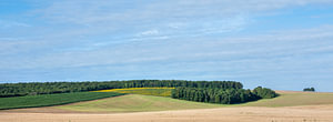 landschap met velden, weiden en bossen in noord frankrijk
