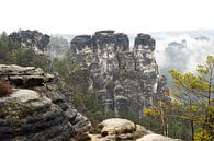 The Gans rocks in the Bastei area in Saxon Switzerland 3 by Holger Spieker thumbnail