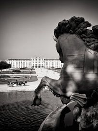 Wien - Schloss Schönbrunn von Alexander Voss