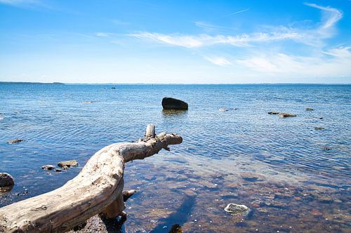 Poel aan de Oostzee. Boomstam steekt uit in de Oostzee en werpt een schaduw