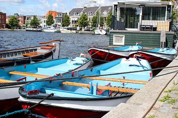 rowing boats in holland
