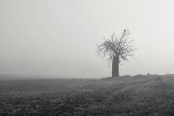 Wächter im Nebel