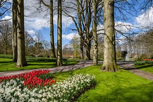 Keukenhof Park an einem schönen Frühlingstag