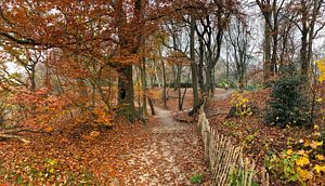 Wanderwege auf dem Wageningse Berg, Wageningen