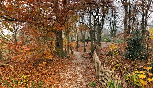 Sentiers de randonnée sur le Wageningse Berg, Wageningen