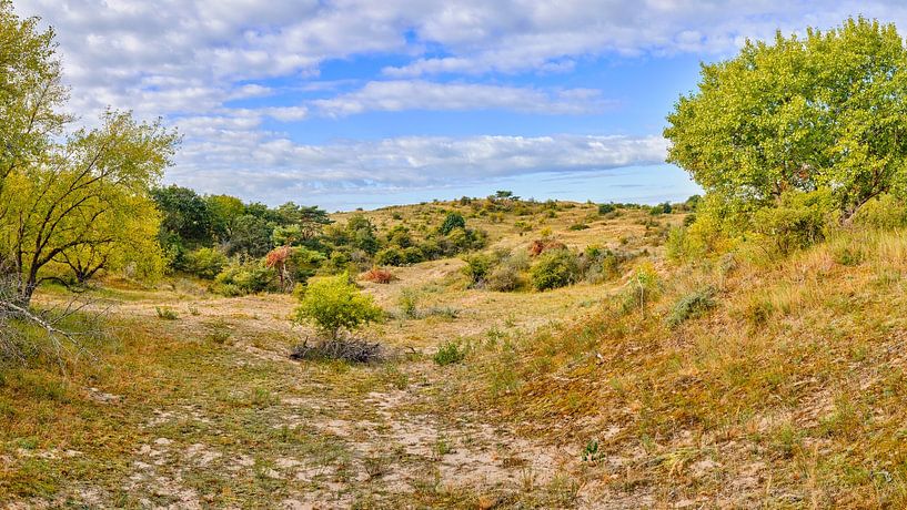 Dutch Dunes National Park by eric van der eijk
