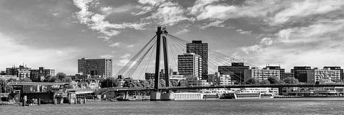ROTTERDAM Willemsbrug in Panorama | Zwart-wit