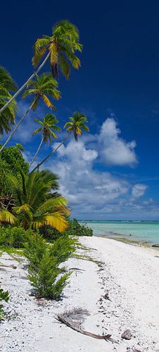 Honeymoon Island, Aitutaki - Cook Islands