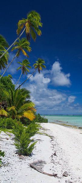 Honeymoon Island, Aitutaki - Cook Islands by Van Oostrum Photography